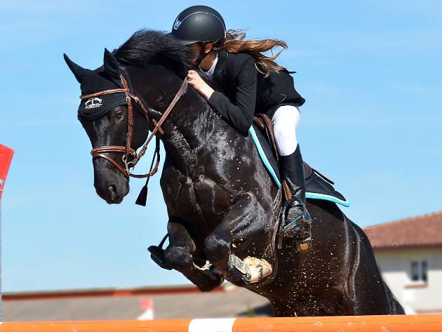 Roma e Longines Global Champions Tour cinque anni di grande